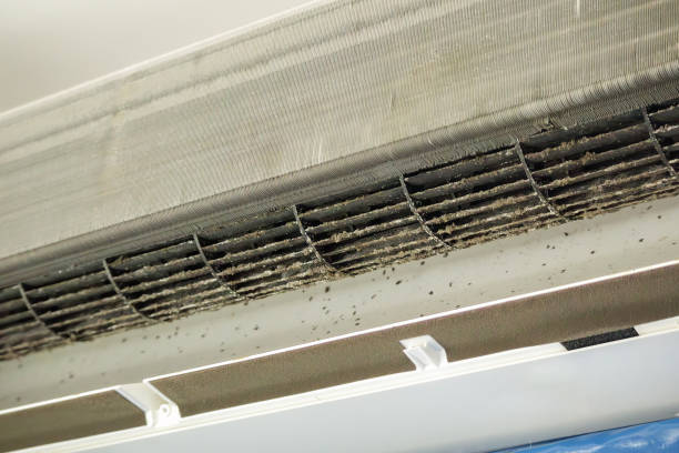Best General Air Duct Cleaning  in Issaquah, WA